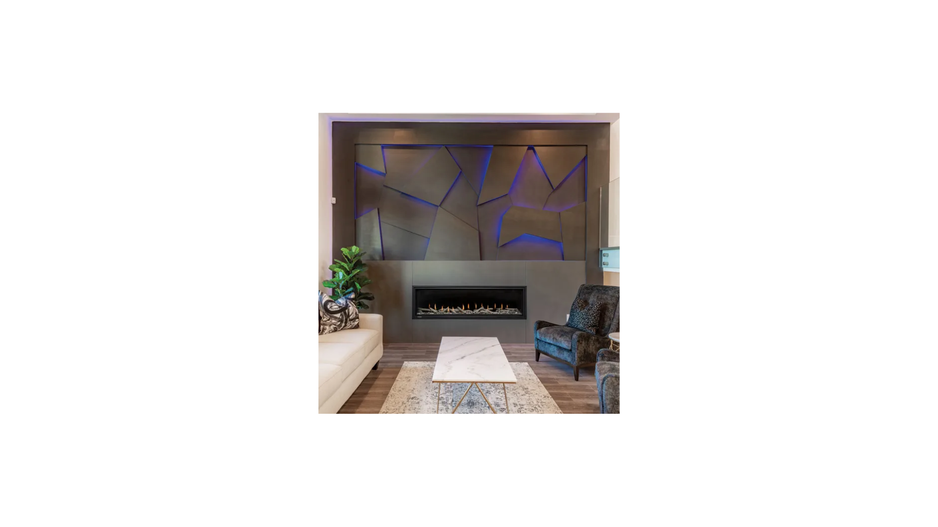 Montigo Delray 60 inch Linear Direct-Vent Gas Fireplace DRL6013NI (Basic)