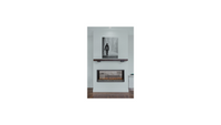Montigo Exemplar 420 Gas Fireplace R420N