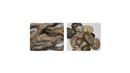 Dimplex Driftwood & River Rock Kit For Electric Fireplace