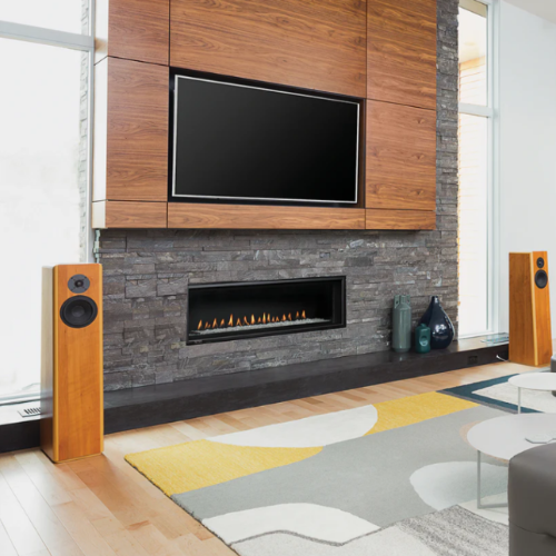 Montigo Delray 48 inch Linear Direct-Vent Gas Fireplace DRL4813NI (Basic)
