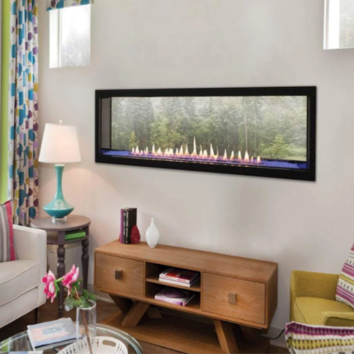 Empire Comfort Systems 48 inch Boulevard Direct-Vent See Through Gas Fireplace DVLL48SP90