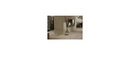 Montigo Exemplar 420 Gas Fireplace R420N