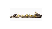 Napoleon High Definition Oak Log Set